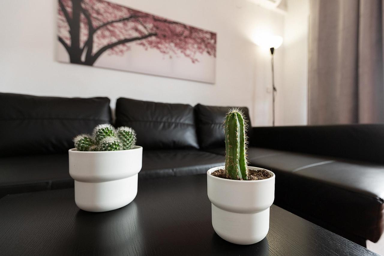 Monko Cactus Διαμέρισμα Τορρεμολίνος Εξωτερικό φωτογραφία